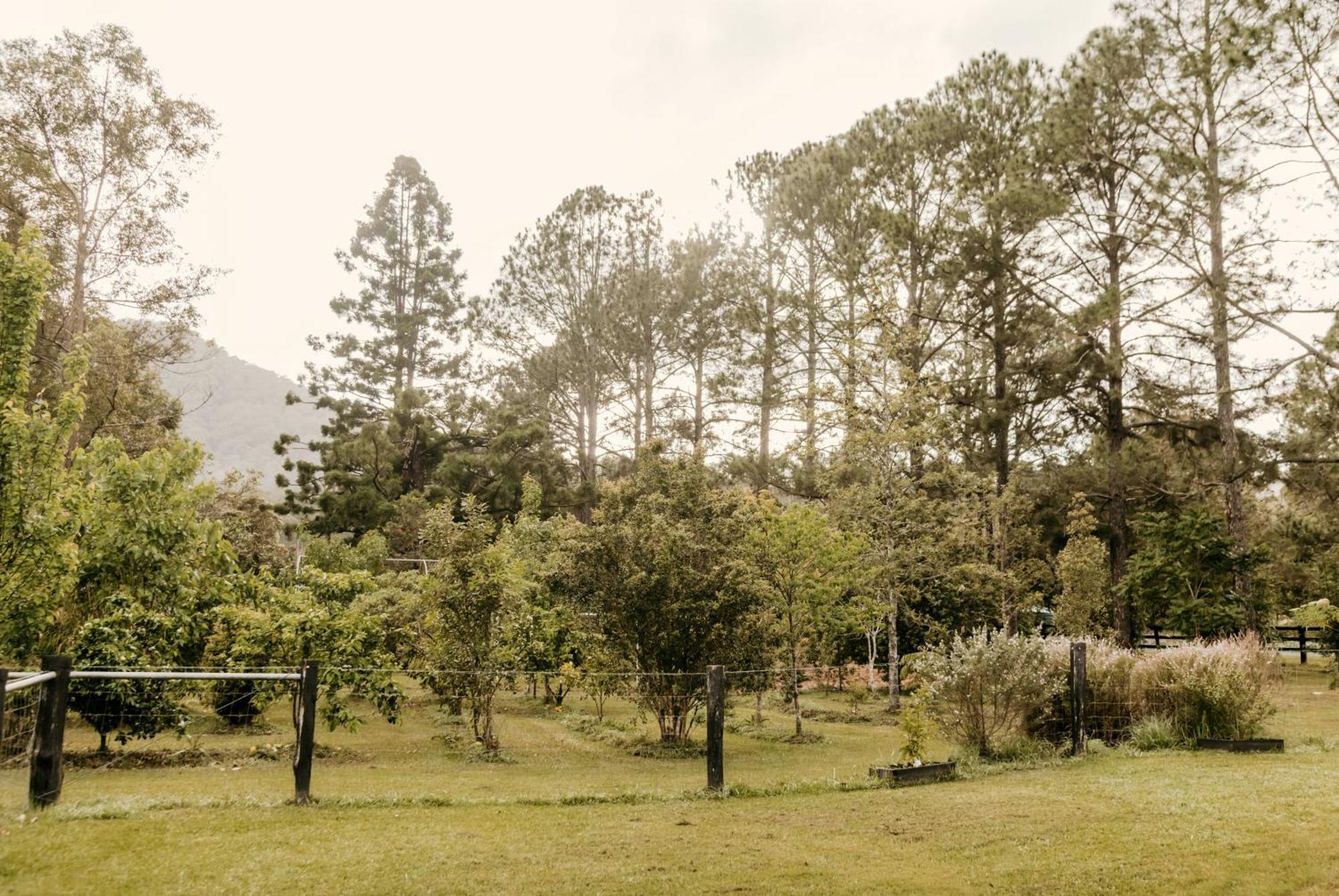 Contained In Nimbin Accommodation Екстер'єр фото